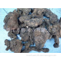 Factory supply Zhuling Mushroom Extract;Polyporus umbellatus Extract ;GMP/HACCP certificate